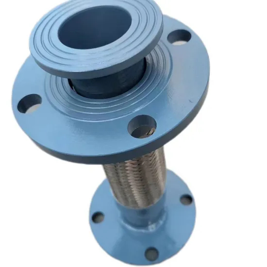 304 Threaded Metal Hose Stainless Steel 4 Points 6 Points 1 Inch Internal Thread Corrugated Pipe Wire Braided Pipe