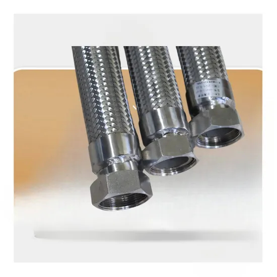 Custom Gas Cylinder High Pressure Metal Stainless Steel Aeration Hose