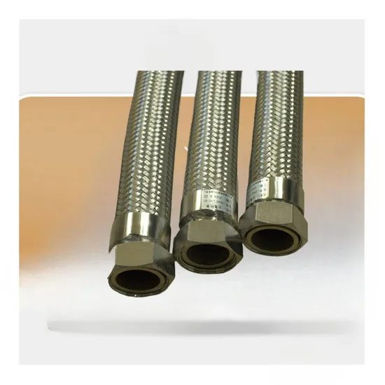 High Quality Design Stainless Steel Wire Braided Flexible Metal Hose for Sale
