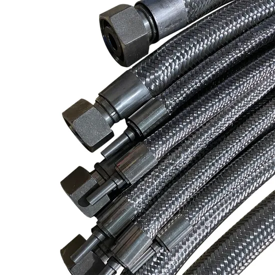Flange Flexible Hose Customized Stainless Steel 304 Threaded Connection Flex Wire Braid Flexible Metal Hose