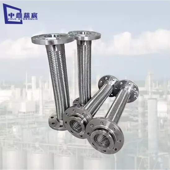 Flexible Stainless Steel Flange PTFE Lined Metal Braided Hose