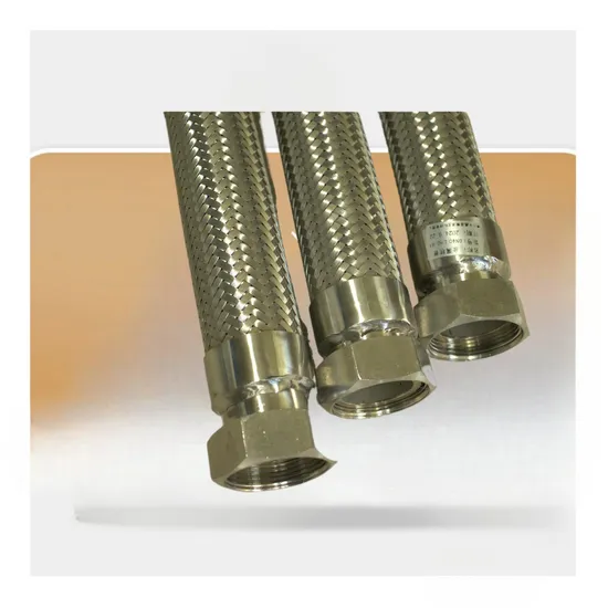 High Quality Durable Two Head 304 Stainless Steel Explosion-Proof Metal Flexible Hose for Toilet Kitchen