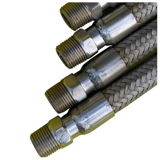Stainless Steel Metal Corrugated Flexible Hose