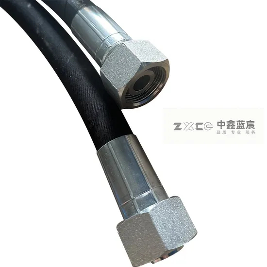 Flexible Hydraulic Hose Pipe DIN En853/En856 Rubber Hose with Stainless Steel NPT/Bsp Fittings