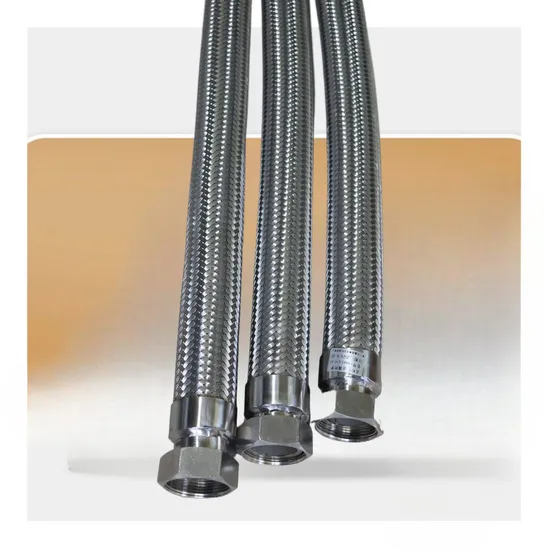 Custom Gas Cylinder High Pressure Metal Stainless Steel Aeration Hose