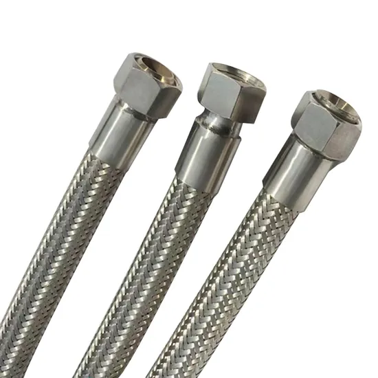 Metal Flexible Gas Hose Braid Hose Corrugated Stainless Steel Flexible Thread PTFE Line Metal Seamless Sliver Qianli Round