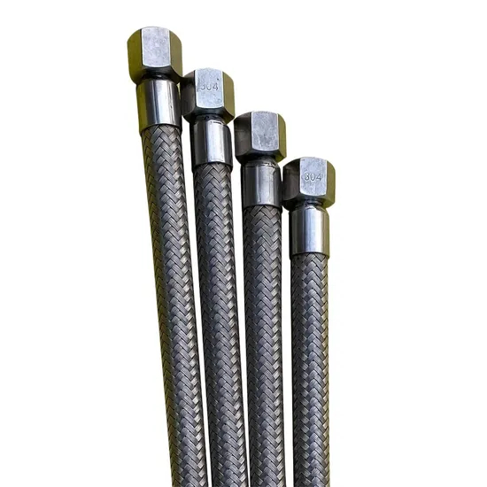Flange Flexible Hose Customized Stainless Steel 304 Threaded Connection Flex Wire Braid Flexible Metal Hose