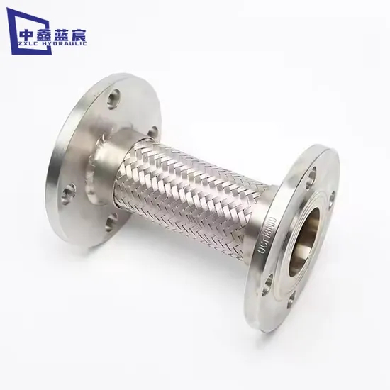 Flexible Stainless Steel Flange PTFE Lined Metal Braided Hose