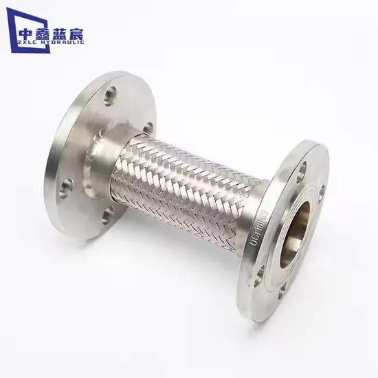 Flexible Stainless Steel Flange PTFE Lined Metal Braided Hose