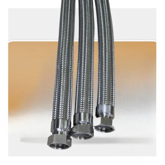 High Quality Durable Two Head 304 Stainless Steel Explosion-Proof Metal Flexible Hose for Toilet Kitchen