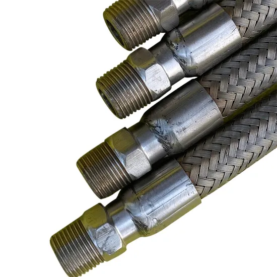 Flange Flexible Hose Customized Stainless Steel 304 Threaded Connection Flex Wire Braid Flexible Metal Hose